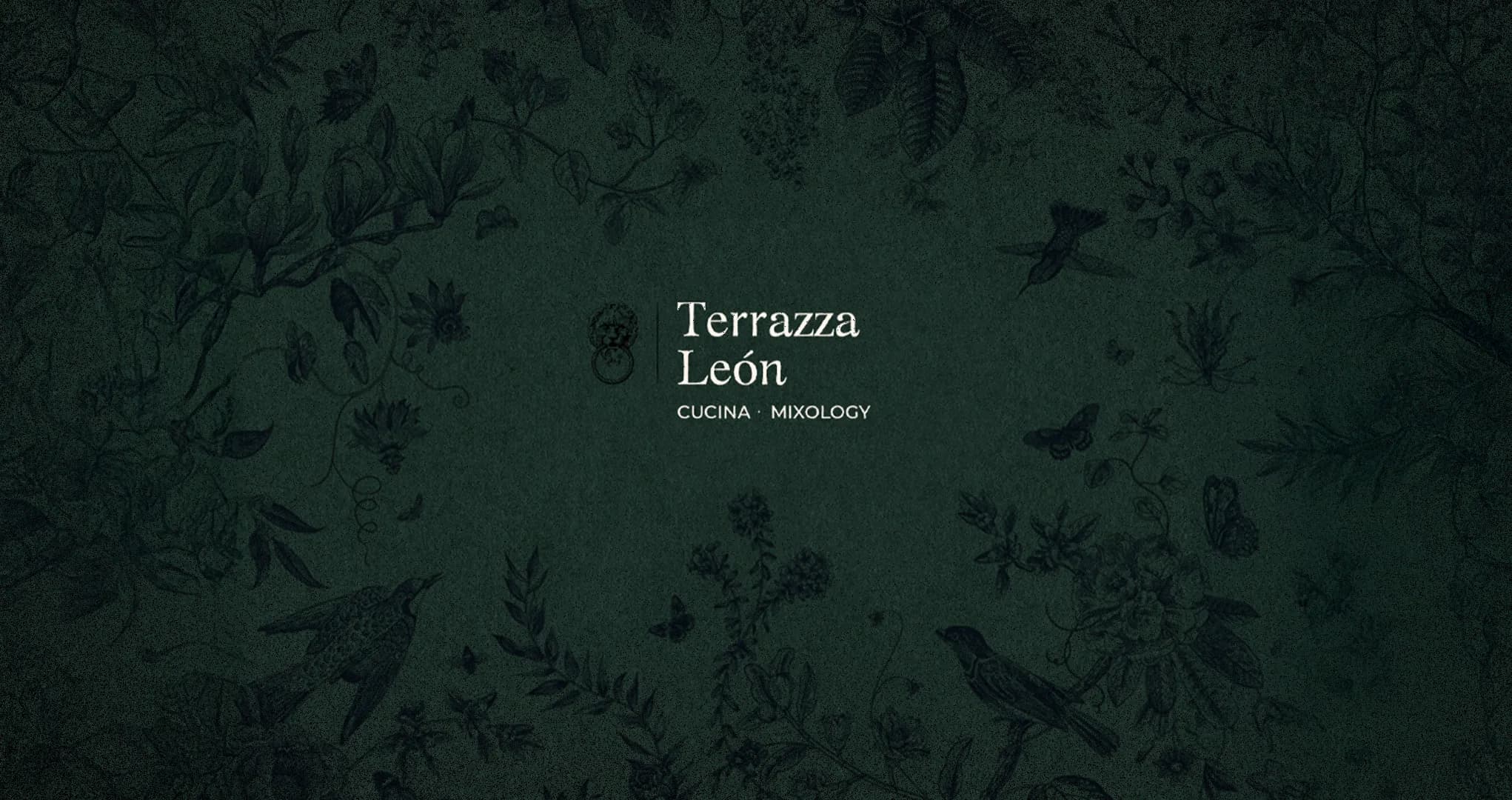 Terrazza León — project image